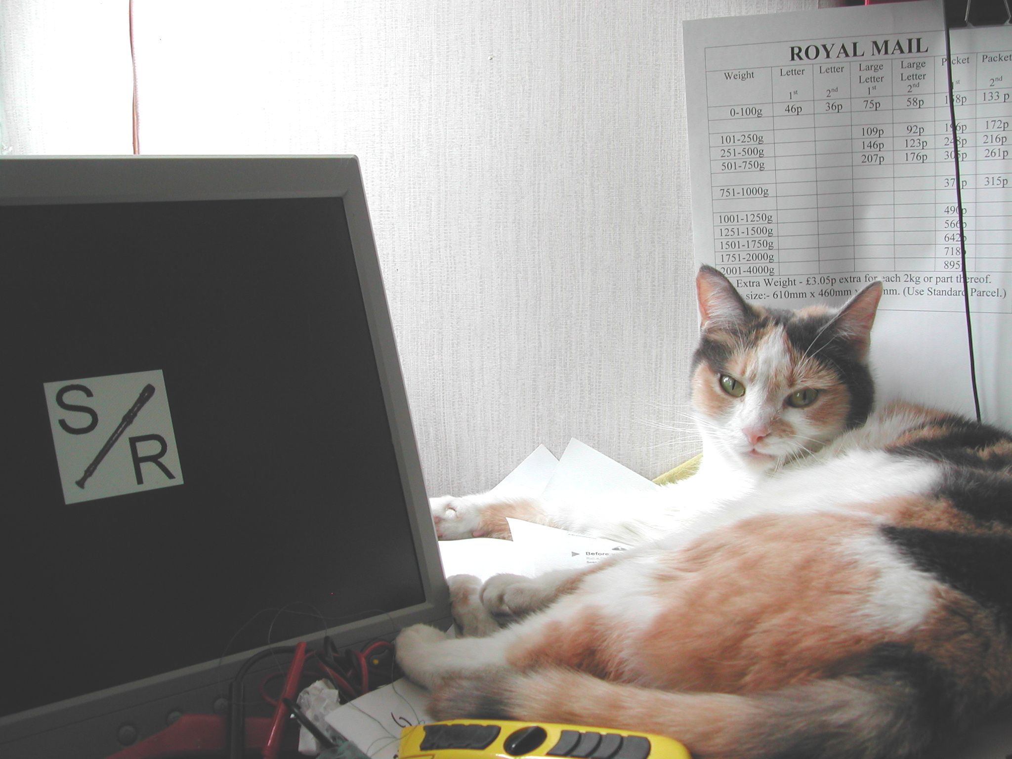 Jess relaxing in a beam of sunlight on my cluttered desk.